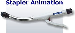 Stapler03